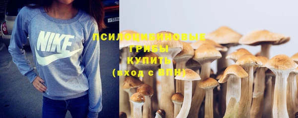марки lsd Няндома