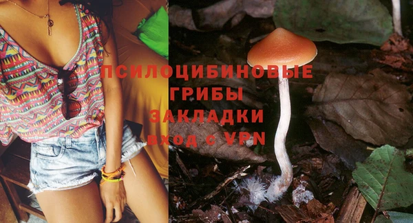 амф Абинск